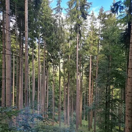 Apartman 4 Season Hermagor-Pressegger See