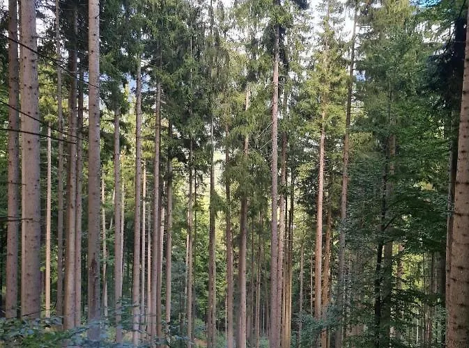 דירה 4 Season הרמגור